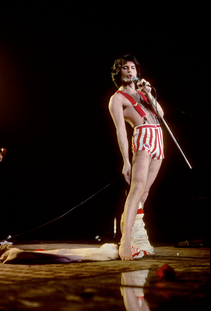 Freddie Mercury, Queen, 1978 (1)