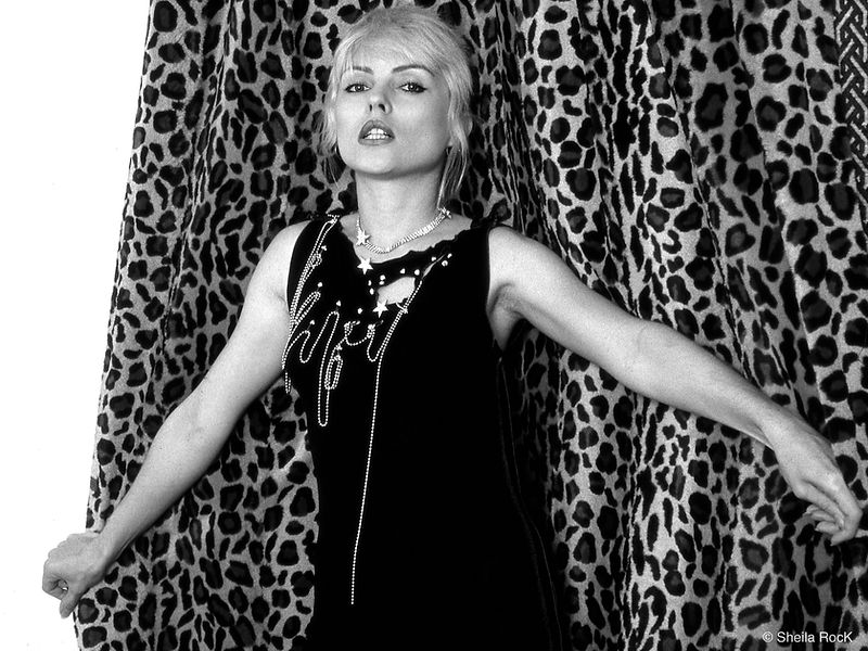 Debbie in Leopard, London, 1977, photographed by Sheila Rock.