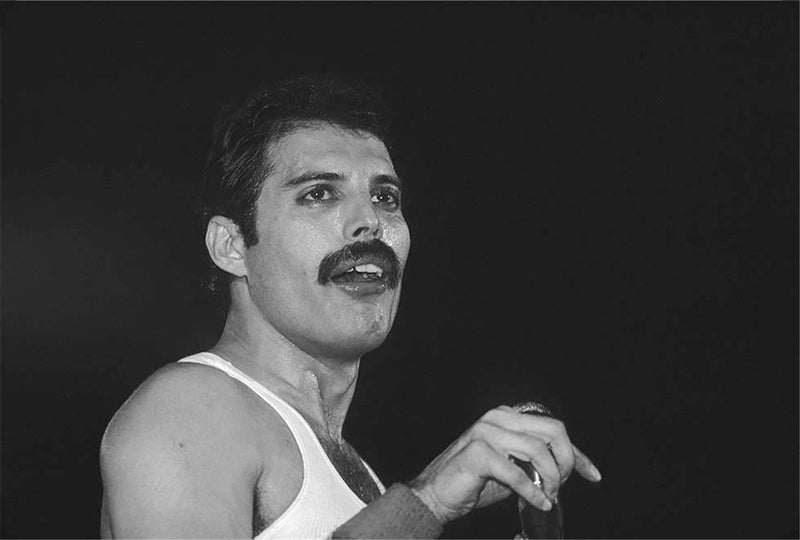 Portrait of Freddie Mercury of Queen in a white vest, New York City, photographed by Charlyn Zlotnik, 1980.
