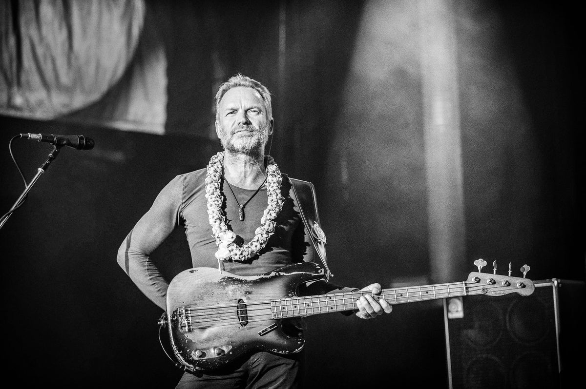 Sting at Shoreline Amphitheatre, Mountain View, California, 2008, photographed by Jérôme Brunet.