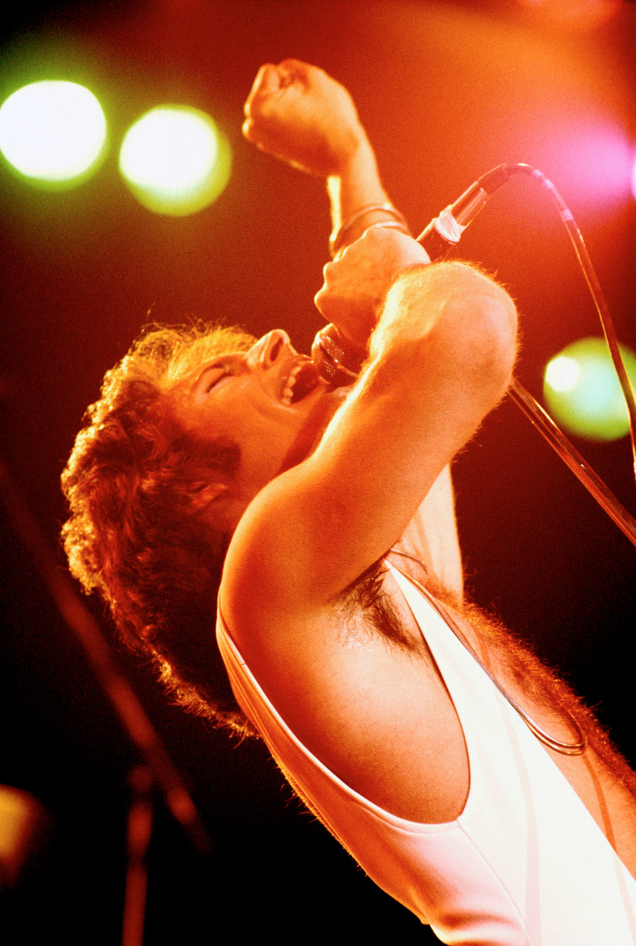 Freddie Mercury, Queen, 1978 (2)
