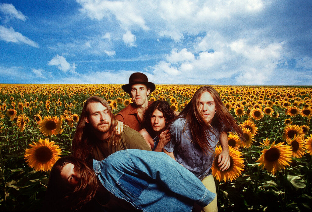 Blind Melon in a field of sunflowers under a blue sky, in color, 1993, photographed by Lynn Goldsmith.