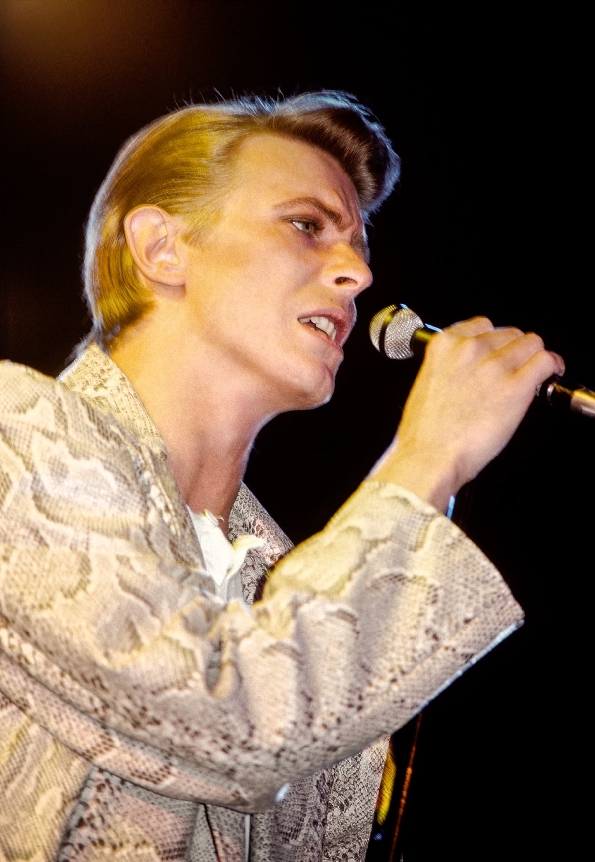 David Bowie, 1978 — photograph by Lynn Goldsmith