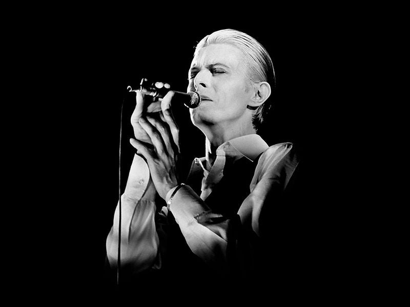 David Bowie singing in profile at a handheld microphone in 1976. Photograph by Gijsbert Hanekroot.