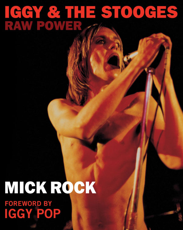 Iggy & the Stooges: Raw Power