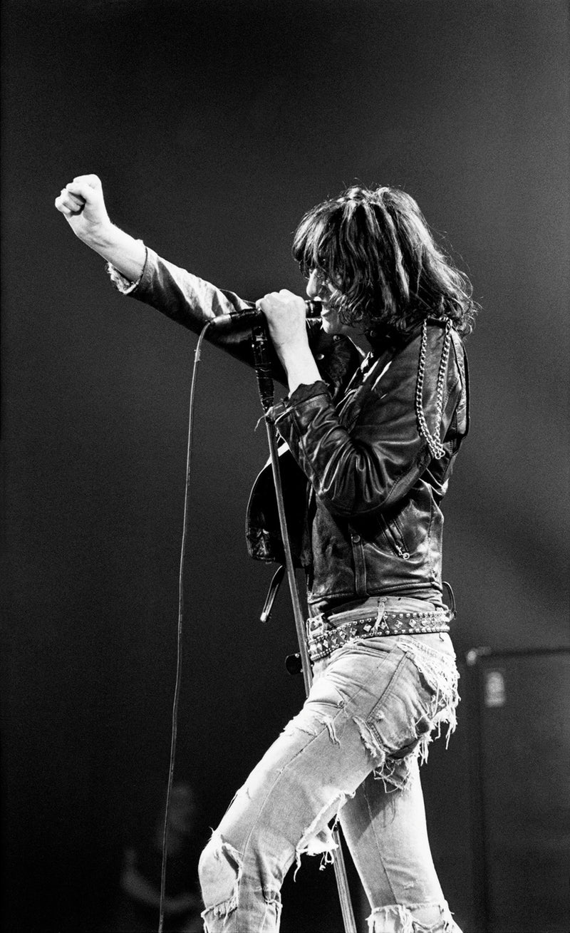 Joey Ramone, Ramones, the Palladium, 1979. Photograph by Ebet Roberts.