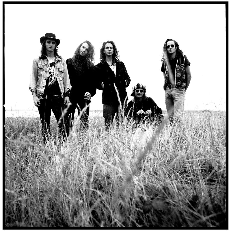 Pearl Jam in the field by Chris Cuffaro