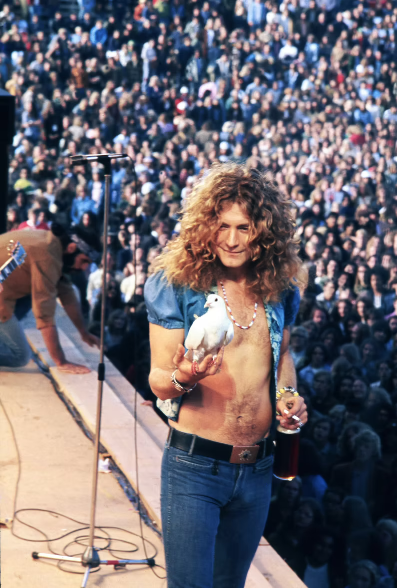 Robert Plant Kezar Stadium, San Francisco, June 2, 1973 by James Fortune.