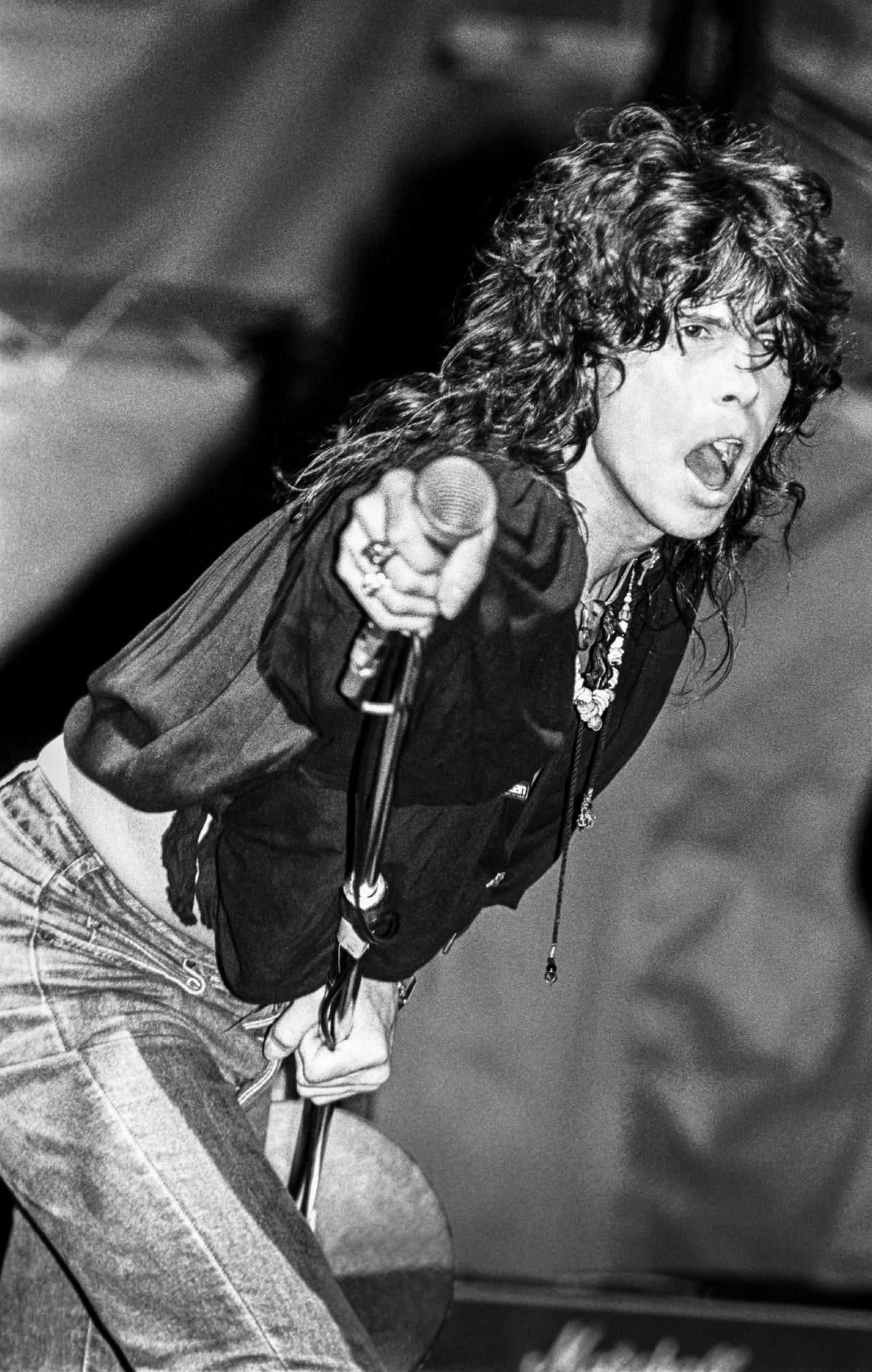 Steven Tyler, Aerosmith, 1983 — photograph by Lynn Goldsmith