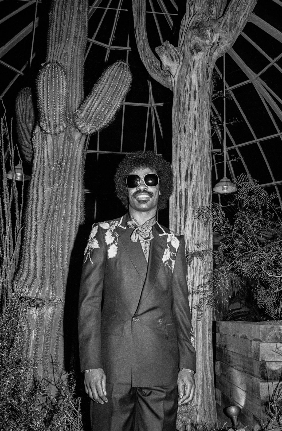Stevie Wonder, 1979 — photograph by Lynn Goldsmith