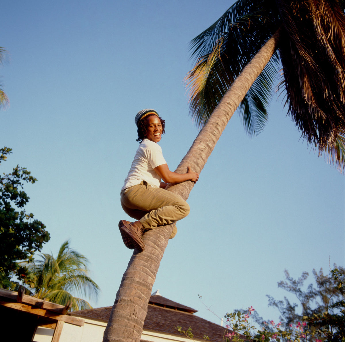 Ziggy Marley climbs the angled trunk of a palm tree beneath an open blue sky. Photograph by Timothy White, Kingston, Jamaica, 1988.