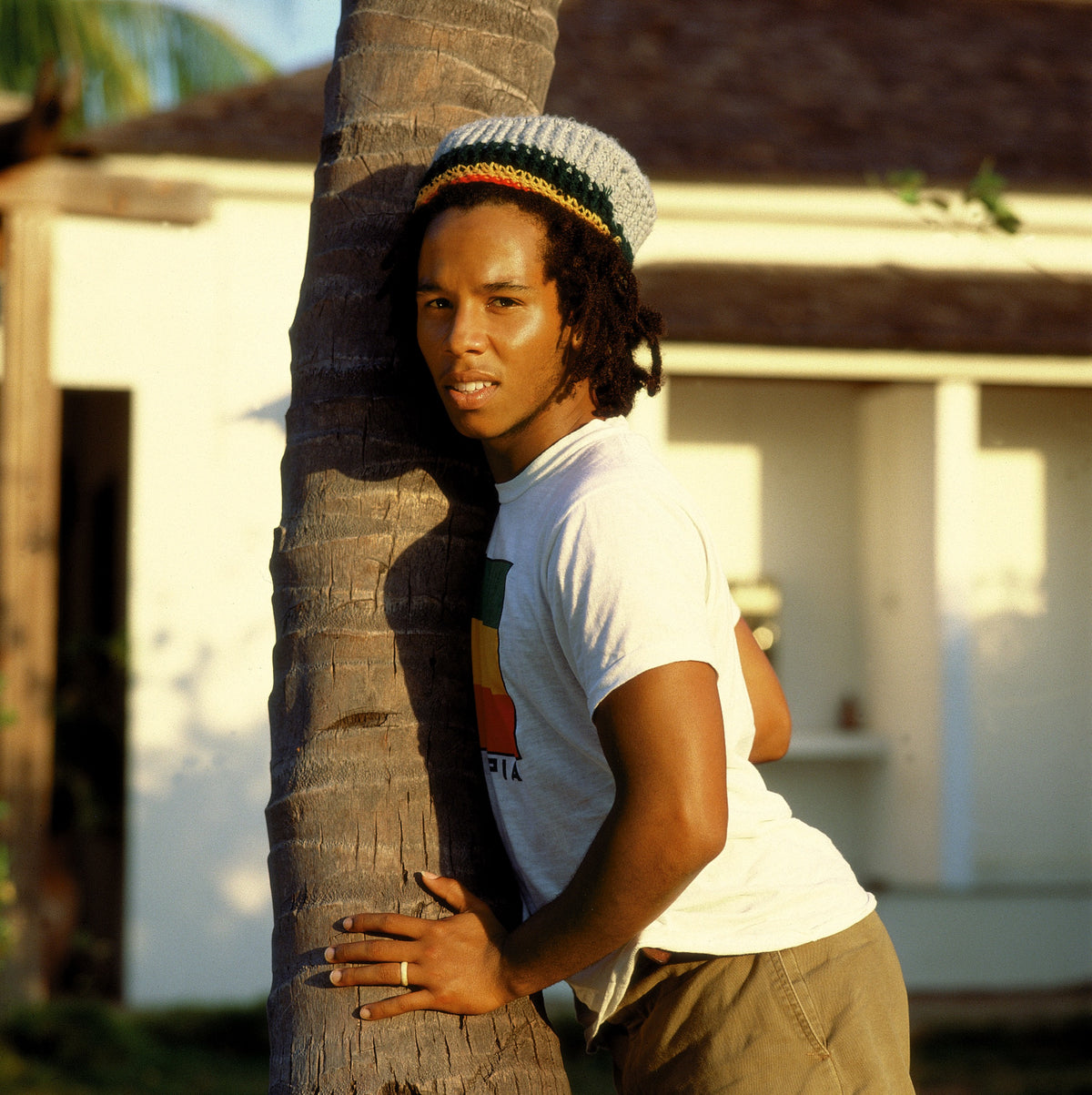 Ziggy Marley embraces the trunk of a palm tree and looks toward the camera in warm outdoor light. Photograph by Timothy White, Kingston, Jamaica, 1988.